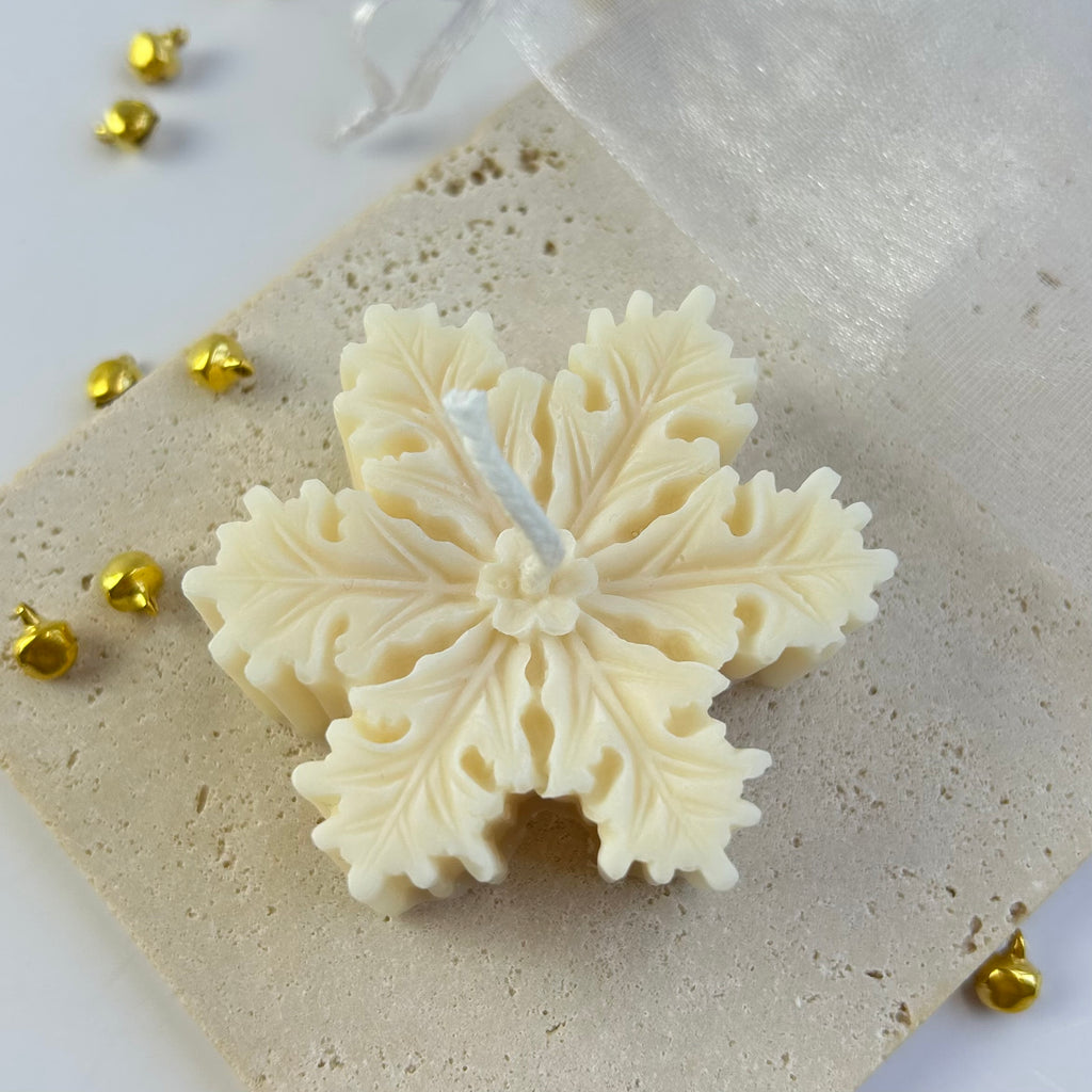 GASTGESCHENK SNOWFLAKE 3