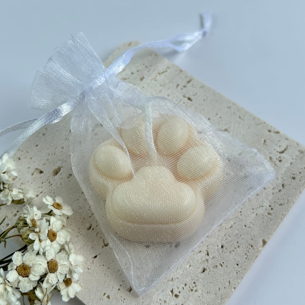 GASTGESCHENK PAW 2