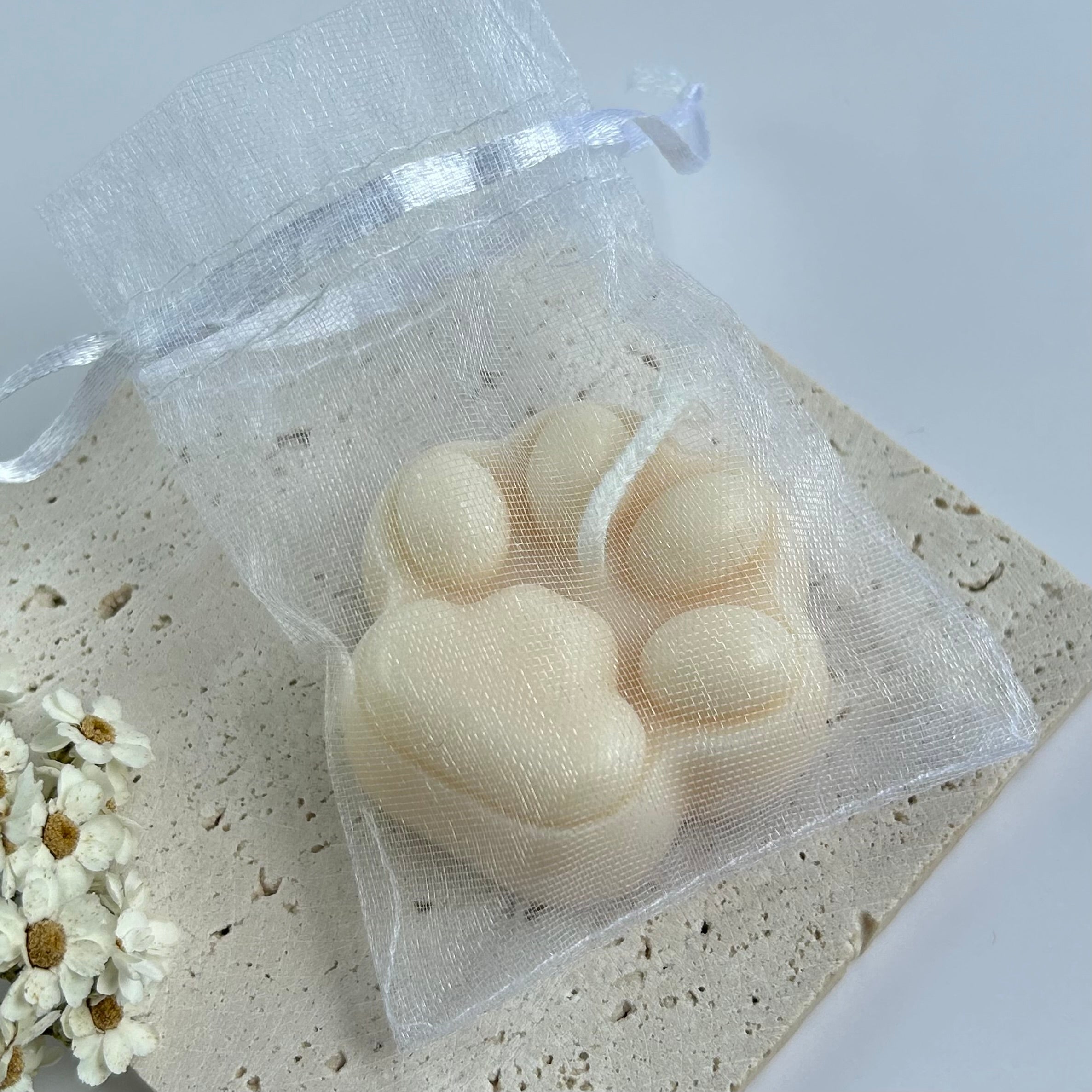 GASTGESCHENK PAW 2