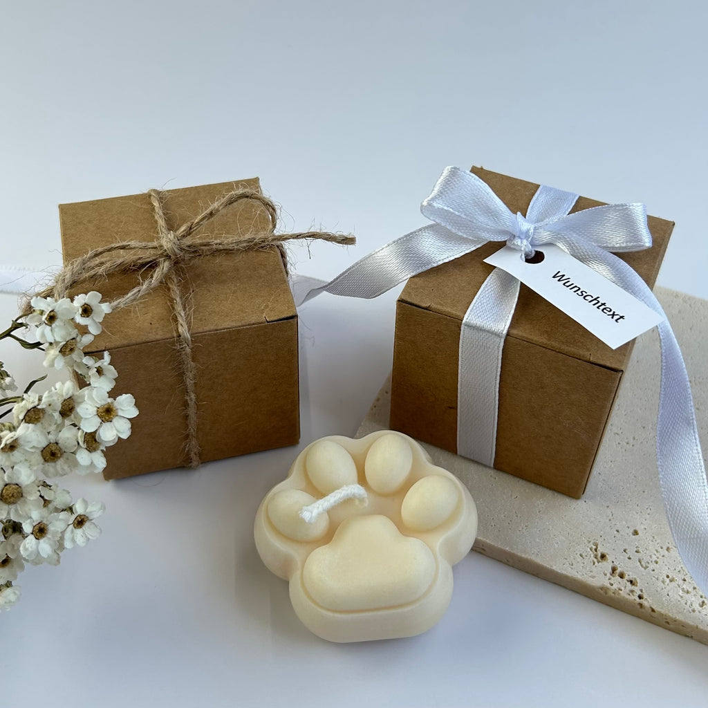 GASTGESCHENK PAW 3
