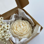 GASTGESCHENK PEONY 2