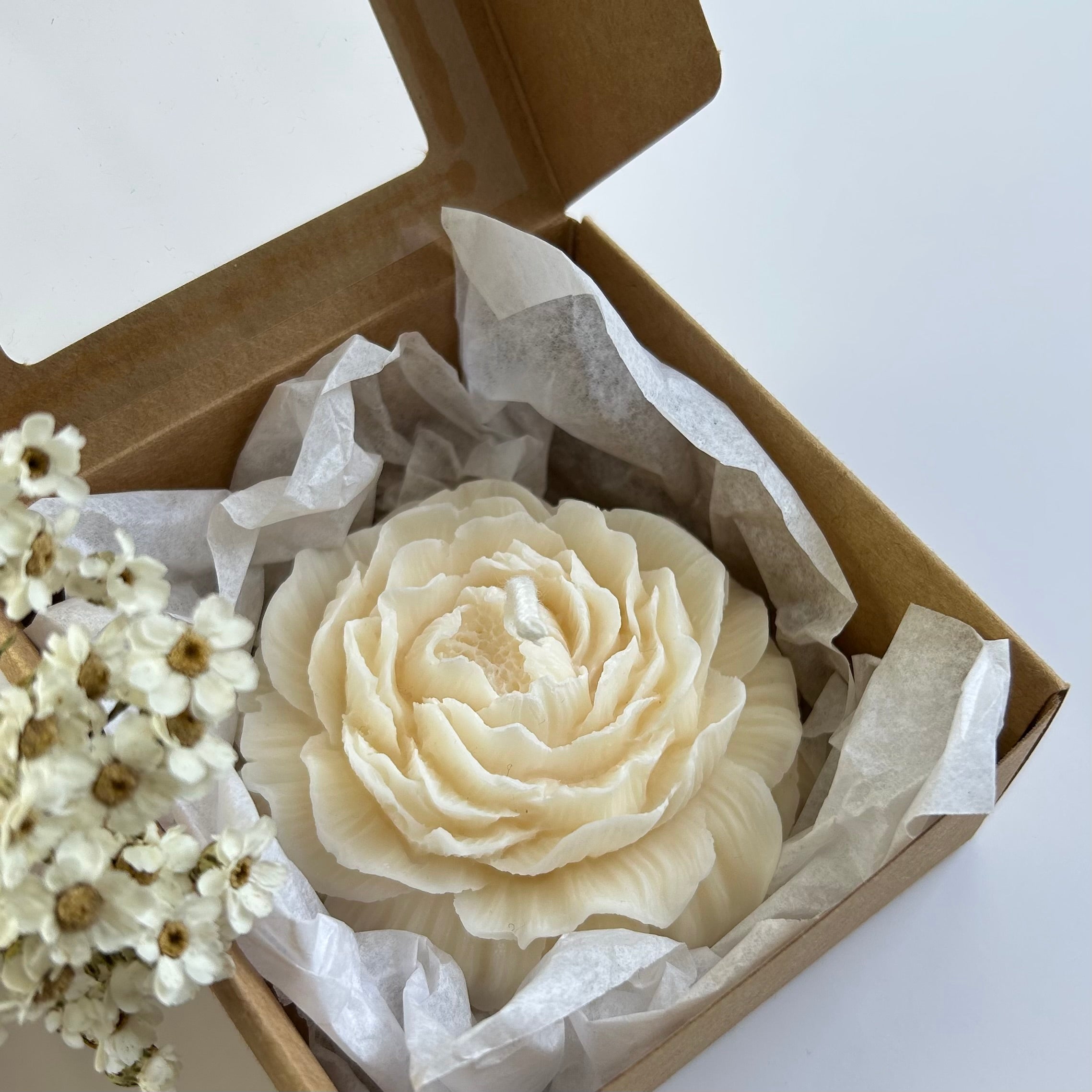 GASTGESCHENK PEONY 2