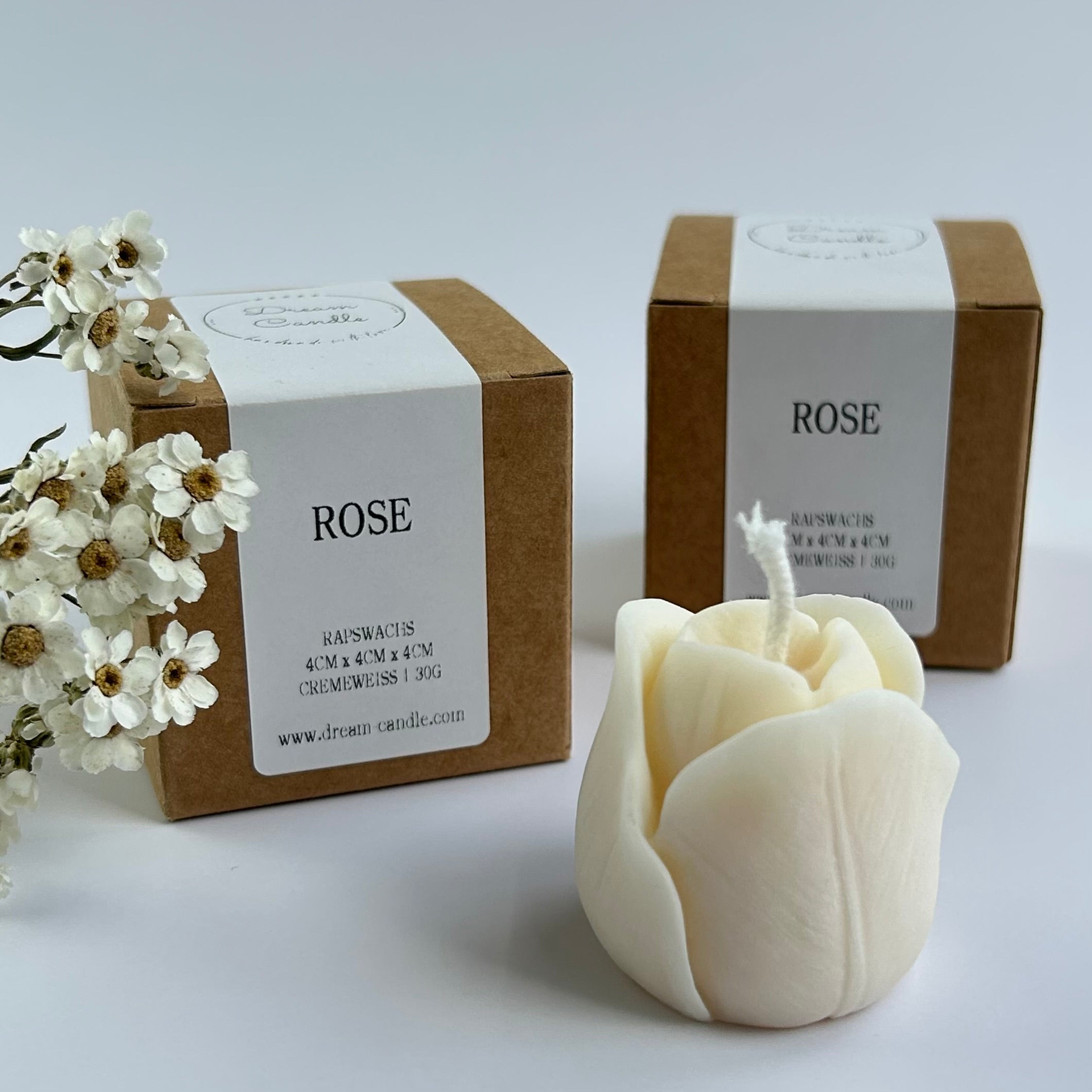 GASTGESCHENK ROSE 1