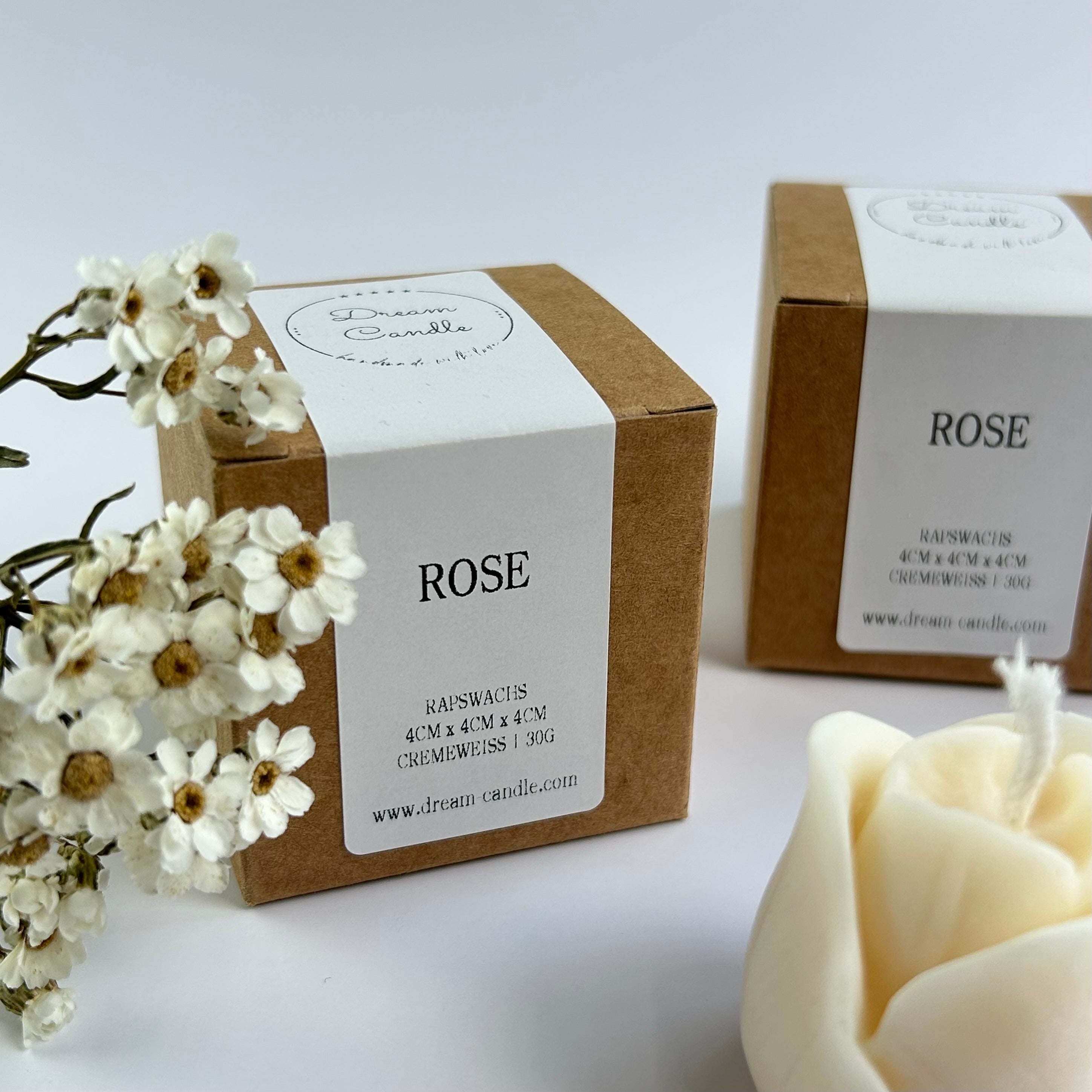 GASTGESCHENK ROSE 1