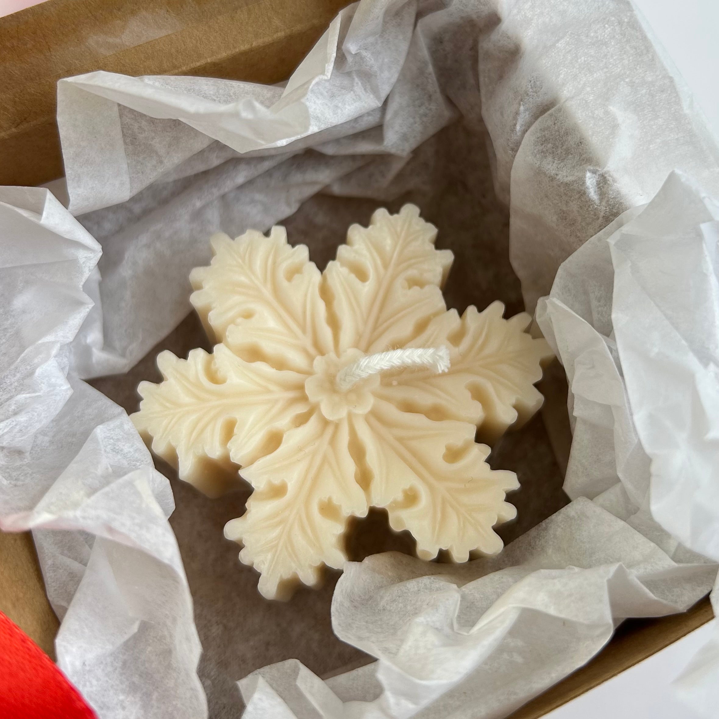 GASTGESCHENK SNOWFLAKE 2