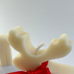 REINDEER