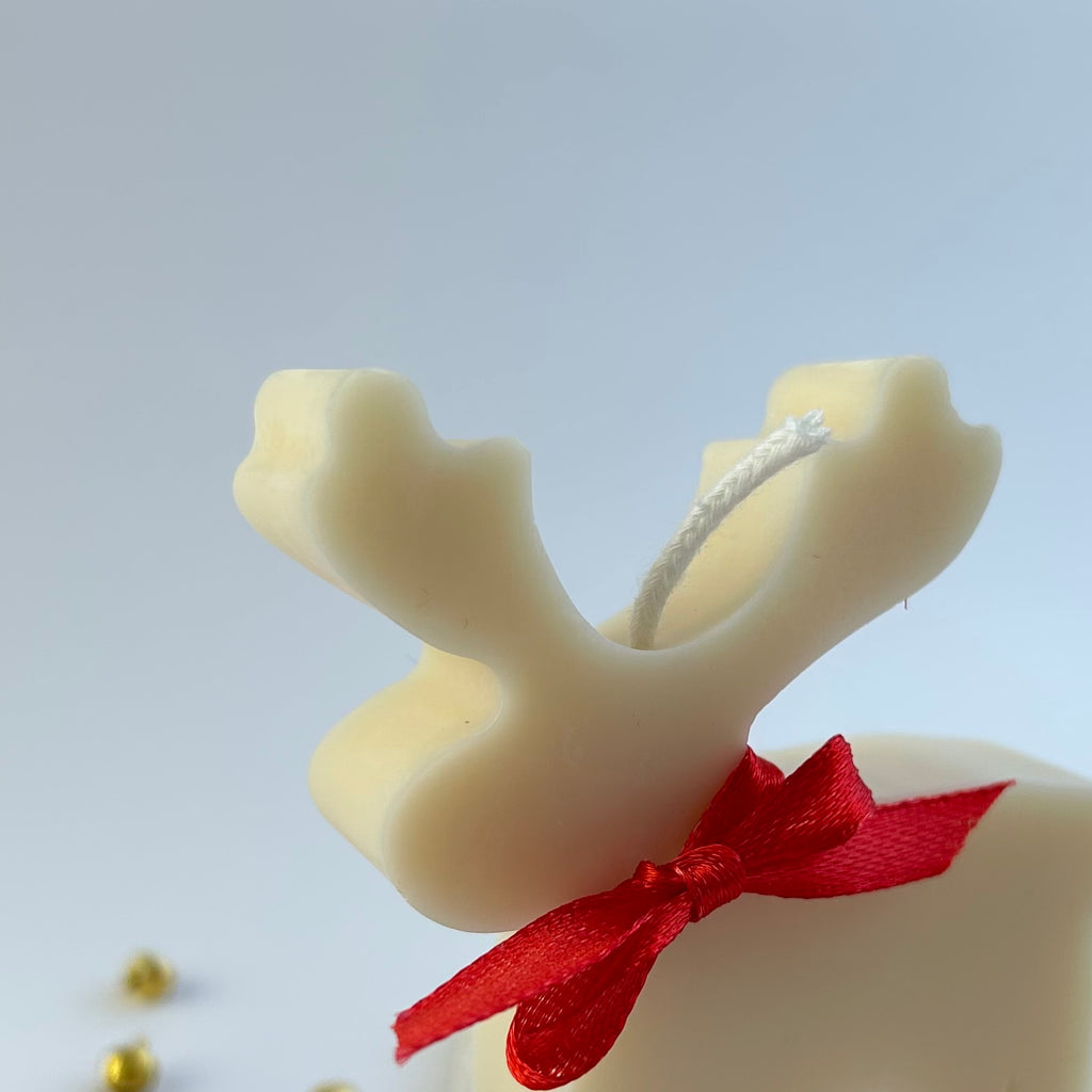 REINDEER